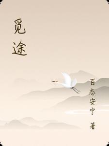 觅途